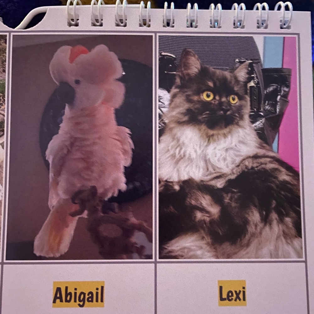This is my Abigail, Lexi and Crikit